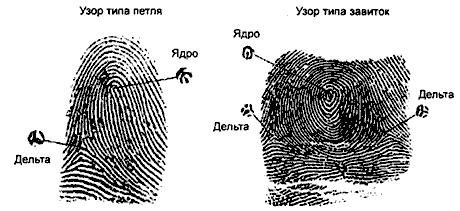 ГОСТ Р ИСО/МЭК 19794-2-2005 Автоматическая идентификация. Идентификация биометрическая. Форматы обмена биометрическими данными. Часть 2. Данные изображения отпечатка пальца - контрольные точки