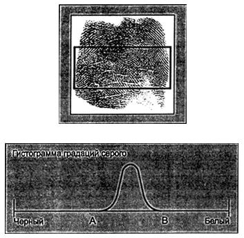 ГОСТ Р ИСО/МЭК 19794-4-2006 Автоматическая идентификация. Идентификация биометрическая. Форматы обмена биометрическими данными. Часть 4. Данные изображения отпечатка пальца