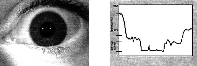 ГОСТ Р ИСО/МЭК 19794-6-2006 Автоматическая идентификация. Идентификация биометрическая. Форматы обмена биометрическими данными. Часть 6. Данные изображения радужной оболочки глаза