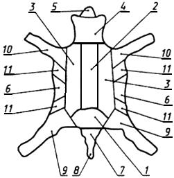 ГОСТ 9296-74 Каракуль чистопородный выделанный крашеный. Технические условия (с Изменениями N 1, 2, 3, 4)