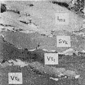 ГОСТ 9414-74 (СТ СЭВ 5431-85) Угли бурые, каменные и антрациты. Метод определения петрографического состава (с Изменениями N 1, 2)
